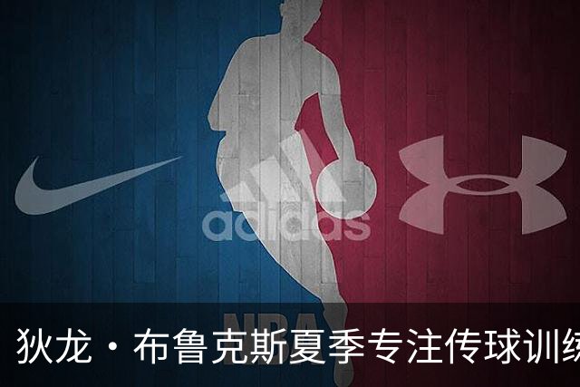 狄龙·布鲁克斯夏季专注传球训练，太阳球迷反响不一